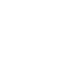 Duke Blue Devils Womens Basketball